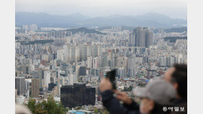 내년 표준주택 공시가 2.51%↑…13억대 주택 보유세 41만원 오를듯