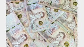 태국 환율 왜 이래? 바트화 초강세 미스터리(feat. 자금세탁)[딥다이브]