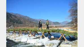 “겨울에만 볼 수 있어요”… 정선 아우라지 섶다리