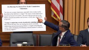 美하원 “韓디지털 규제, 빅테크 겨눠… 무역법으로 대응해야”