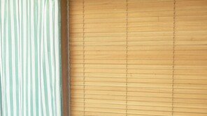 노랑-아이보리-주황… 色다른 ‘맥심’을 보면 행복해진다