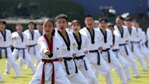 태권도, 내년 인류무형유산 도전… ‘단원고 4·16…’은 기록유산 추진