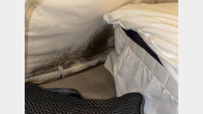 “불멍까지만 하고 도망쳤다”…1박 23만원 글램핑장 충격 실태