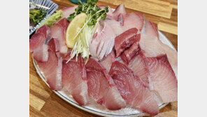 “참치보다 비싸다”…겨울 별미 대방어 값 치솟은 이유는?