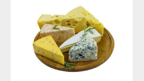 살찐다고 피한 ‘고지방’ 치즈의 반전 …“치매 위험 낮춰”