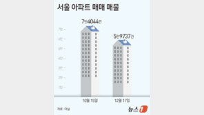 10·15 대책 후 서울 아파트 매물 6만개 깨졌다…32개월 만에 최저