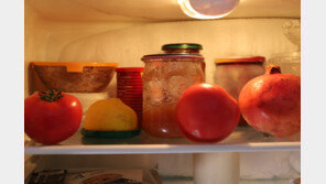 “70%만 채워라”…냉장고 수리 부르기 전 확인해야 할 ‘이것’ [알쓸톡]