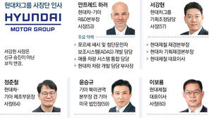 현대차 ‘AI 모빌리티 전환’ 액셀… R&D 수장에 애플 출신 하러