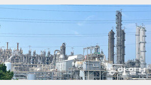 ‘석화 구조조정’ 막판 진통… 정부 “선 자구책” 고수