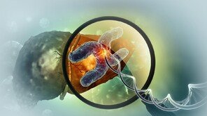 2m 길이 DNA, 몸속에 어떻게 들어 있을까… 3차원 지도 나왔다