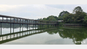 싱가포르의 주토피아 실험… ‘자연 속 도시’ 만다이[김선미의 시크릿가든]