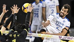 삼성화재, 블로킹 청구도 다이렉트 [발리볼 비키니]