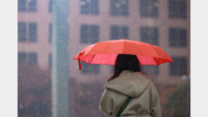 “주말에 우산 챙기세요”…내일 전국 가끔 비