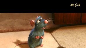 北 주민들, 당국 허락 없이도 픽사·디즈니 영화 시청 가능한 이유는?