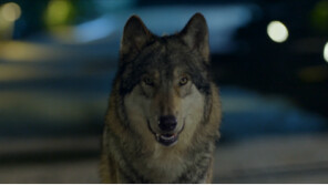  스튜디오벨루카 · KBS후반제작기술국, 양사 협업으로 AI-VFX 융합 기술력 선봬