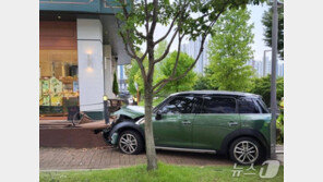 ‘깁스 운전’ 중 인도 돌진…10대 등 보행자 3명 친 50대 여성 송치