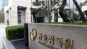 서학개미 잡기 위한 증권사 과당경쟁에 칼 뽑은 금감원