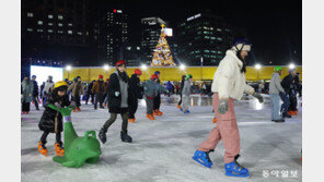 서울광장 스케이트장 개장