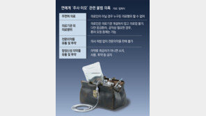 유명 유튜버도 “주사이모 방문 진료”… ‘마약류 의약품’ 받은 의혹