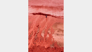 종말의 징조?…핏빛 된 이란 호르무즈섬 해변