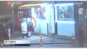 평택서 술 취해 초등생 끌고가려던 러시아女 체포…구속영장 신청