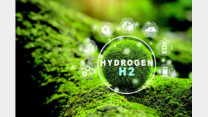 [DBR]‘무늬만 청정’에 지원… 길 잃은 수소 정책