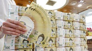 월평균 환율 6개월째 올라…내년 물가, 2%대서 상향 가능성