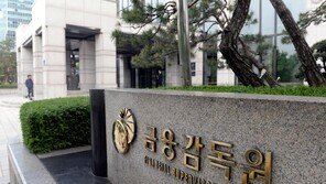 금융사 책무구조도 형식적 운영 여전…임원 셀프점검도 적발