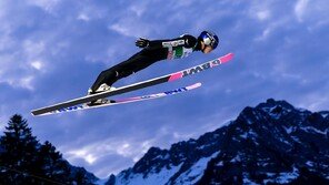 한 마리 새처럼…