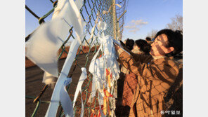 무안공항에 나부낀 파란 리본 1229개… “진상 규명이 위로”