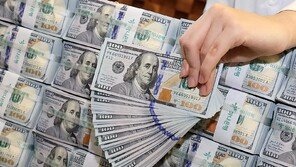 치솟는 환율에… 외국인, 올해 韓채권 144조 순매수