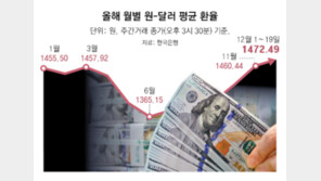 연평균 역대최고 환율… ‘종가 낮추기’ 총력전