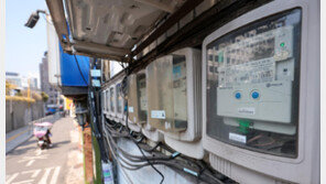 내년 1분기 전기요금 동결…한전, 연료비조정단가 kWh당 5원 유지