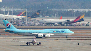 공정위, 대한항공-아시아나 마일리지 통합안에 “한달 내 보완 요구”