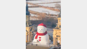 하얼빈에 등장한 대형 눈사람…6층 건물 높이 