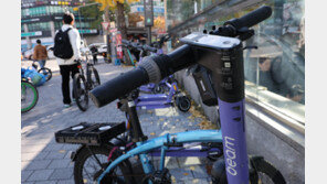 킥보드 규제 두고 헌법소원…헌재 “국민 생명 보호가 우선”