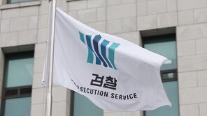 검찰개혁추진단 자문위원 “공소청에 보완수사권도 주지 말아야”