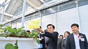 스마트팜 기업-인재 유치… 충남 ‘스마트 농업 수도’ 꿈꾼다