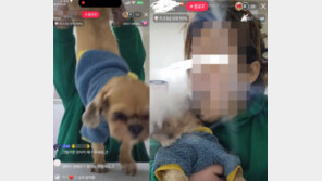 “담배 연기 뿜고 뒷다리 잡아당겨”…틱톡女 반려견 학대에 공분