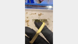 핸드폰서도 금 나왔다…“팬텍 스카이폰 금장식 15만원”