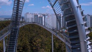 40m 높이서 멈춰선 롤러코스터…“공포의 1시간”