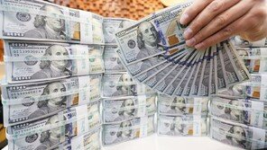 위조 달러 갖고 나와 1억9000만원 강도짓…외국인 2명 실형