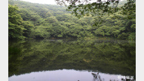 보름간 땅 한 번 안 밟고 제주 찾은 철새를 위하여