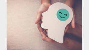 실제 나이보다 8년 젊은 뇌 갖는 생활습관 5가지