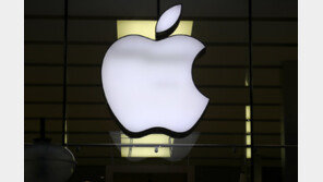 애플, 伊 반독점 1700억원 과징금에 항소…“개인정보 보호 취지 무시”