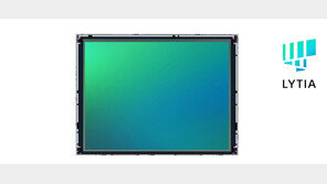 삼성 이어 소니도 2억화소 이미지센서…내년 시장 격돌