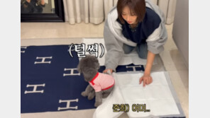 “개 엉덩이 시릴라” 고준희, 에르메스 담요를 배변 ‘깔개’로