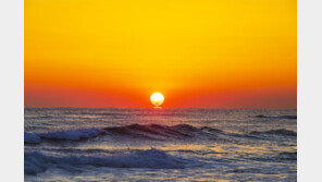  아너드투어, 업계 최초 ‘기사 2인 교대 운행’ 도입