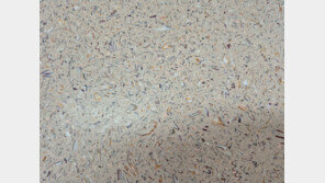 철거 현장 폐자재가 예술품으로 재탄생