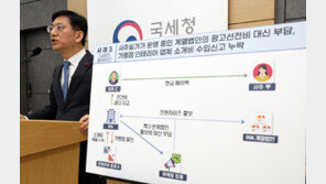 외국 회사인척 달러 빼돌렸다…외환부당 유출 등 31곳 세무조사